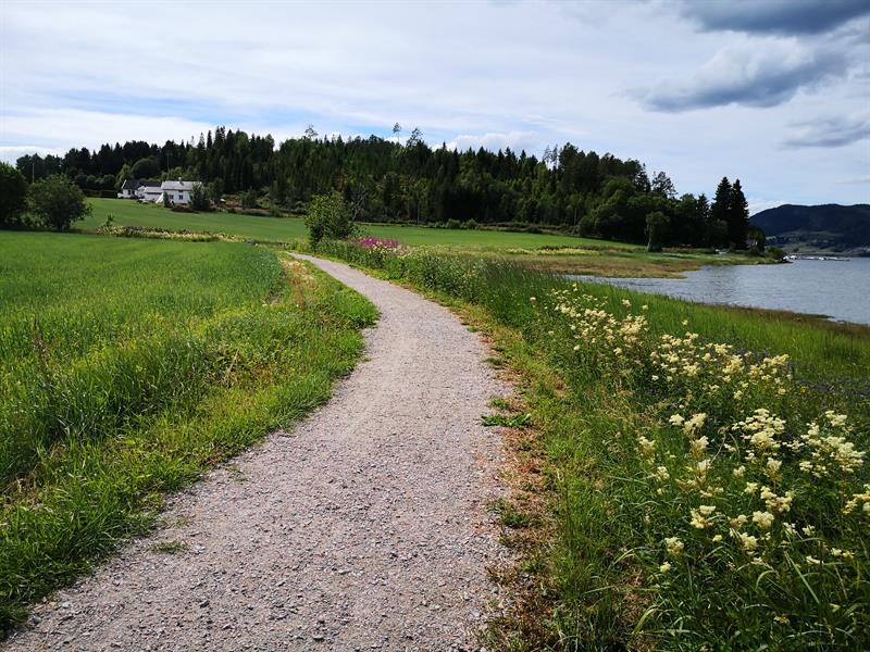 Illustrasjonsbilde av en sti. Foto: Mona Jønvik Andersson