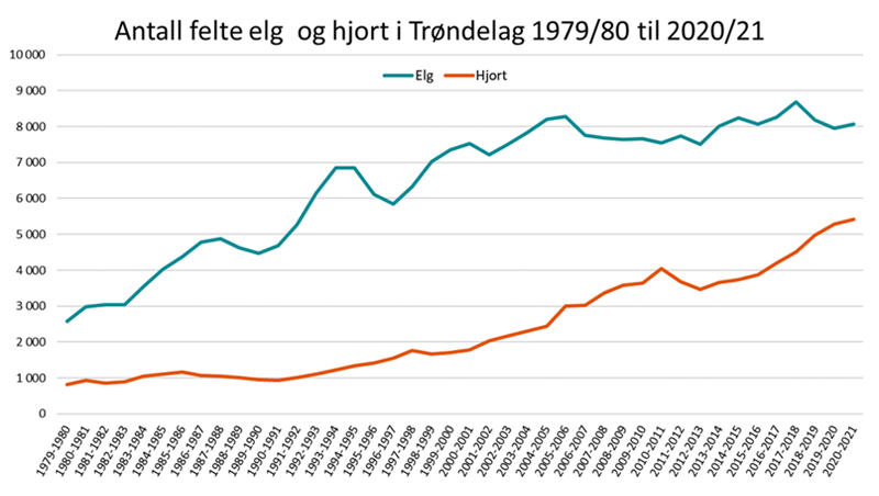 Antall felte elg og hjort i Trøndelag 1979-80 til 2020-21 Antall felte elg og hjort i Trøndelag 1979-80 til 2020-21