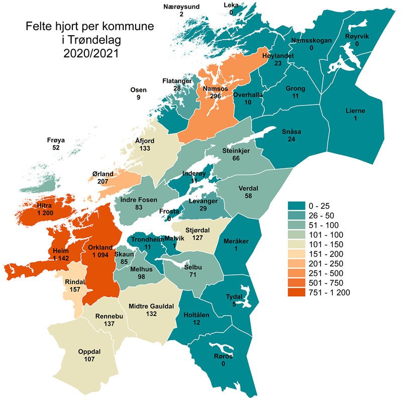 Felte hjort 2020-2021 Felte hjort 2020-2021
