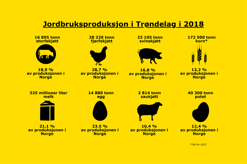 Jorbruksproduksjon i Trøndelag