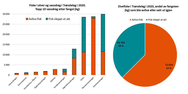 Elvefiske i Trønderske elver og vassdrag i 2020 Elvefiske i Trønderske elver og vassdrag i 2020