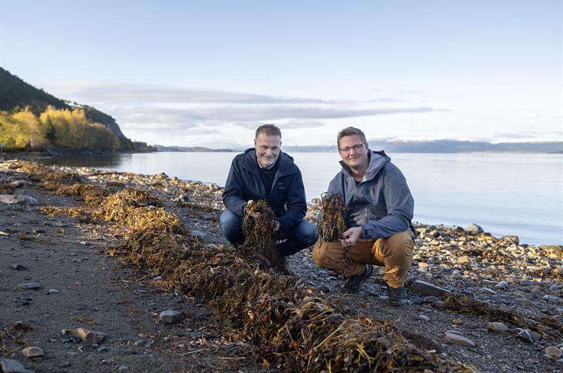 1K8A6254.jpg To menn sitter i fjæra og holder tang.