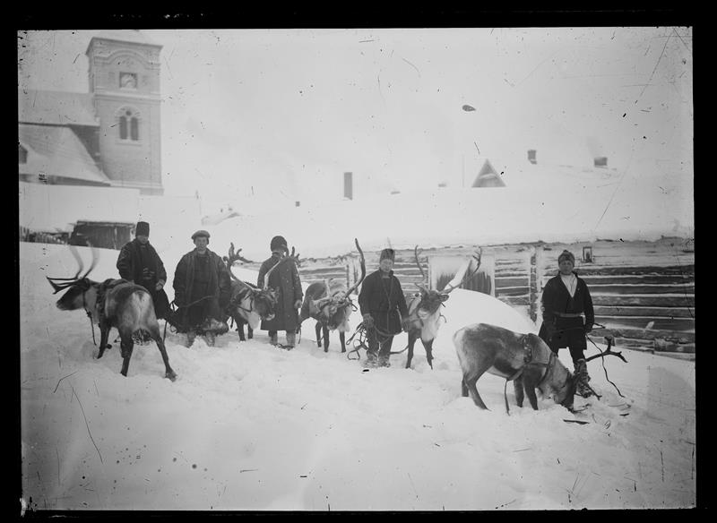 Samer med kjørerein på Røros.