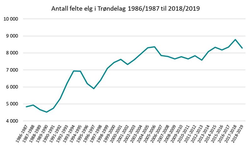Antall felte elg i Trøndelag 1986-87 til 2018-19.jpg Graf som viser antall felte elg i Trøndelag (Illustrasjon: Trøndelag fylkeskommune)
