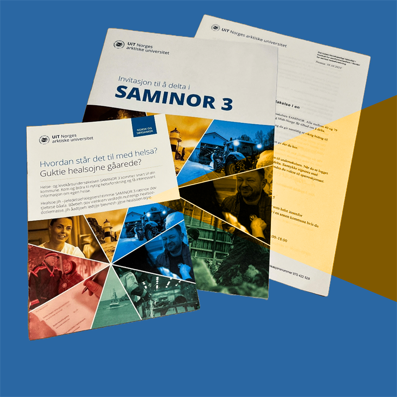 saminor_some_effekt2 (1).png