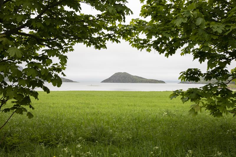 Grønne enger ved havet på øya Storfosna.