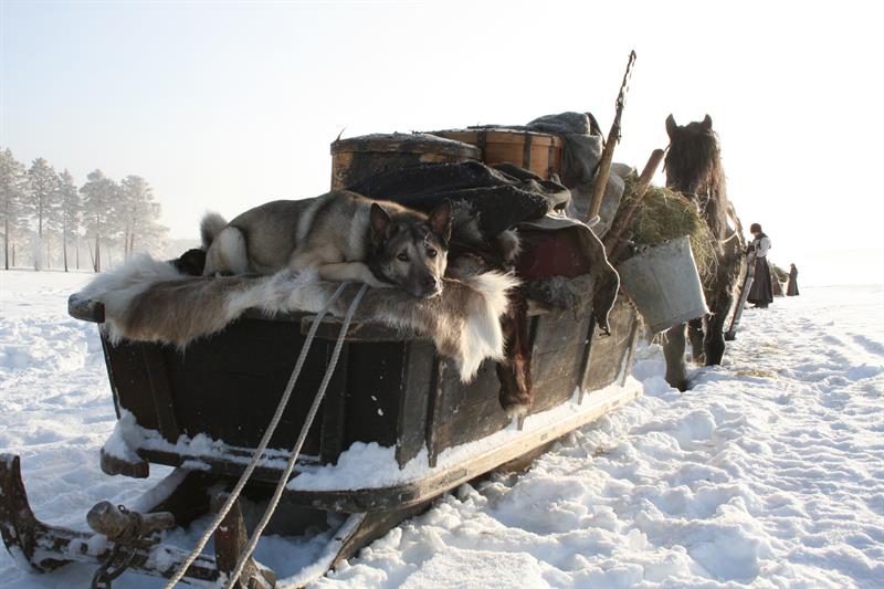11.2.2008.fortur 086.jpg Hest og slede med full oppakking, elghund ligger oppå et elgskinn i sleden.