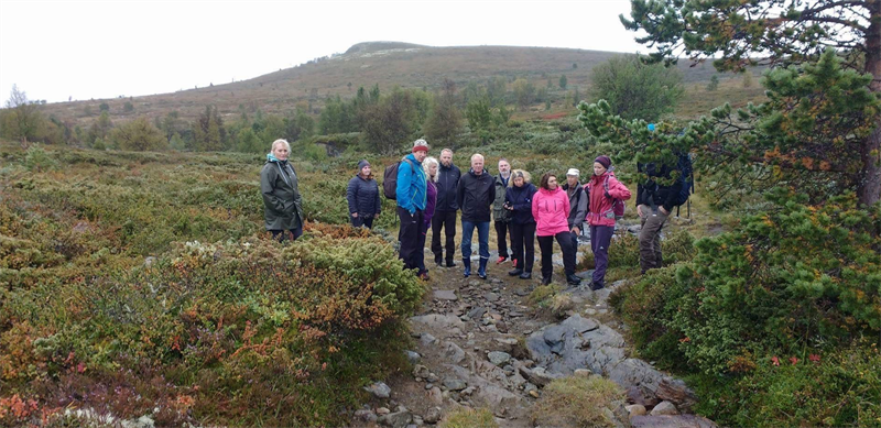 Kongevegen over Dovrefjell Kongevegen over Dovrefjell (Foto: Kulturminnevern Trfk)