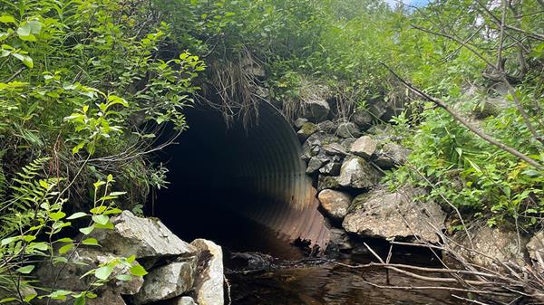 Kulvert ved Krokbekken langs fylkesveg 6174 skal byttes_Foto_ Lena Sæther .jpg Kulvert ved Krokbekken. Bilde
