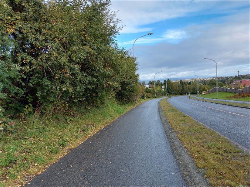Utleirvegen i Trondheim. Bilde