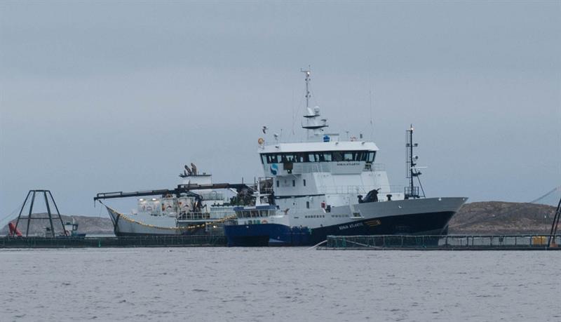 Foto: Torleif Thorsen