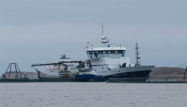 Foto: Torleif Thorsen
