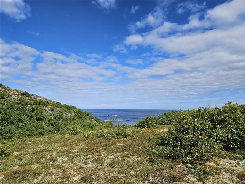 Åfjord, foto, Kjersti Nordberg, Trøndelag fylkeskommune.jpg Her skal dagsturhytta stå i Åfjord. Foto: Kjersti Nordberg, Trøndelag fylkeskommune.