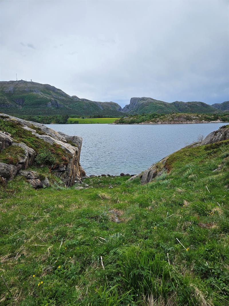 Ørland.jpg Her skal dagsturhytta stå i Ørland. Foto: Kjersti Nordberg, Trøndelag fylkeskommune.