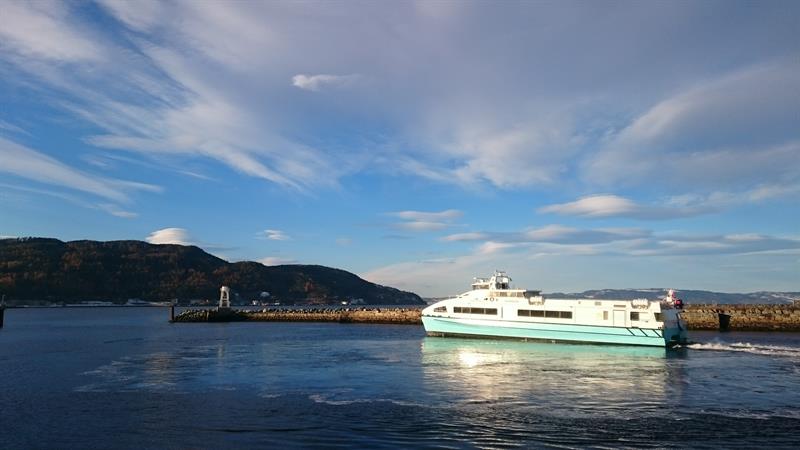 Rute 800.JPG