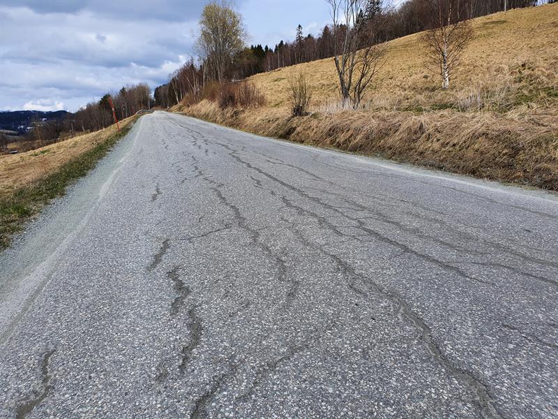 Bilde av fylkesveg 6568, Skogsvegen i Soknedal.