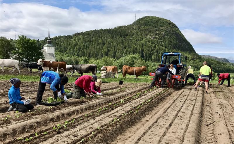 Prosjektet  «Vennskap og kunnskap i åkeren» vant Inkluderingsprisen 2019. Foto: Sissel Thorsen