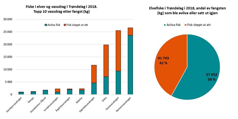 Elvefiske i Trønderske elver og vassdrag i 2018.jpg Grafer som viser de ti beste vassdragene, og hvor mye som ble avlivet eller satt ut igjen (Illustrasjon: Trøndelag fylkeskommune)