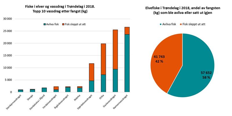 Grafer som viser de ti beste vassdragene, og hvor mye som ble avlivet eller satt ut igjen (Illustrasjon: Trøndelag fylkeskommune)