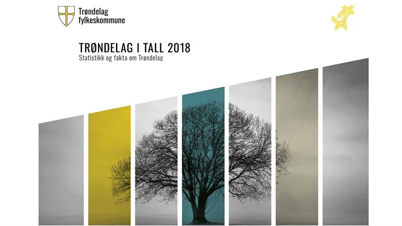 Bilde av forsiden til rapporten Trøndelag i tall.