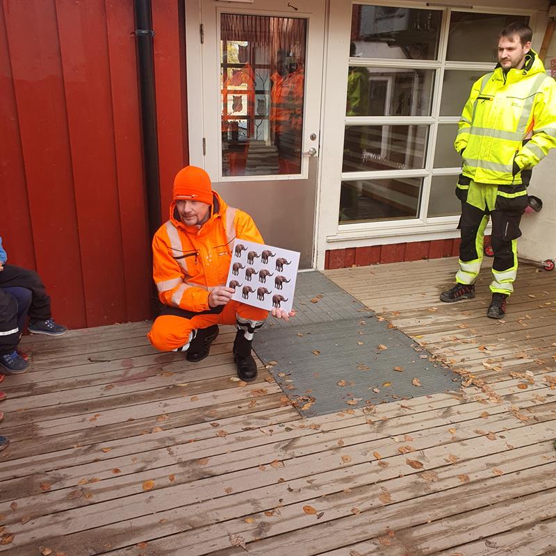Lastebil og elefanter Bilde av en fullastet lastebil.
