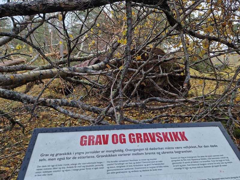 20251008_145138.jpg Av sikkerhetsmessige hensyn er gravfeltet nå stengt. Foto: Kristin Prestvold/Trøndelag fylkeskommune.