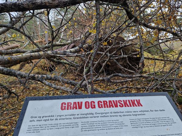 Av sikkerhetsmessige hensyn er gravfeltet nå stengt. Foto: Kristin Prestvold/Trøndelag fylkeskommune.