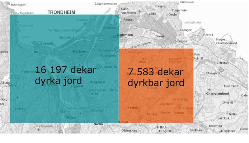 TRONDHEIM.jpg ""