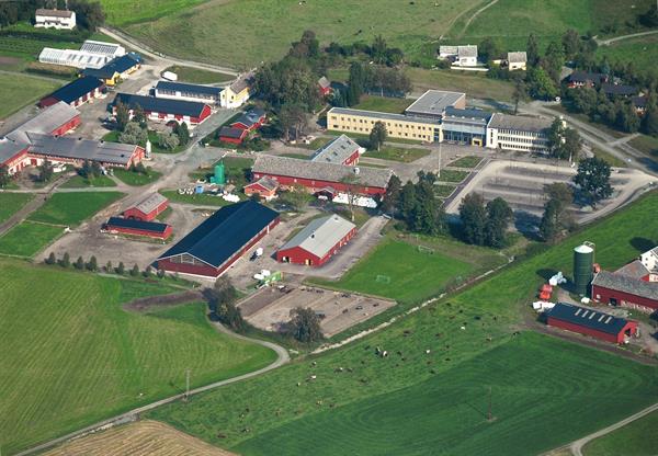 Bilde av Skjetlein videregående skole.