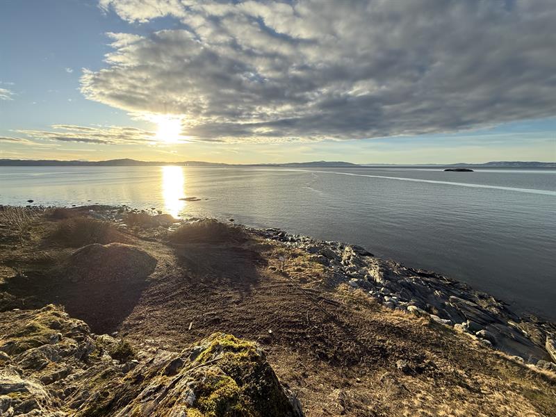 Bilde av Hynnetuppen ved Hauganfjæra på Frosta, med fin utsikt over fjorden.