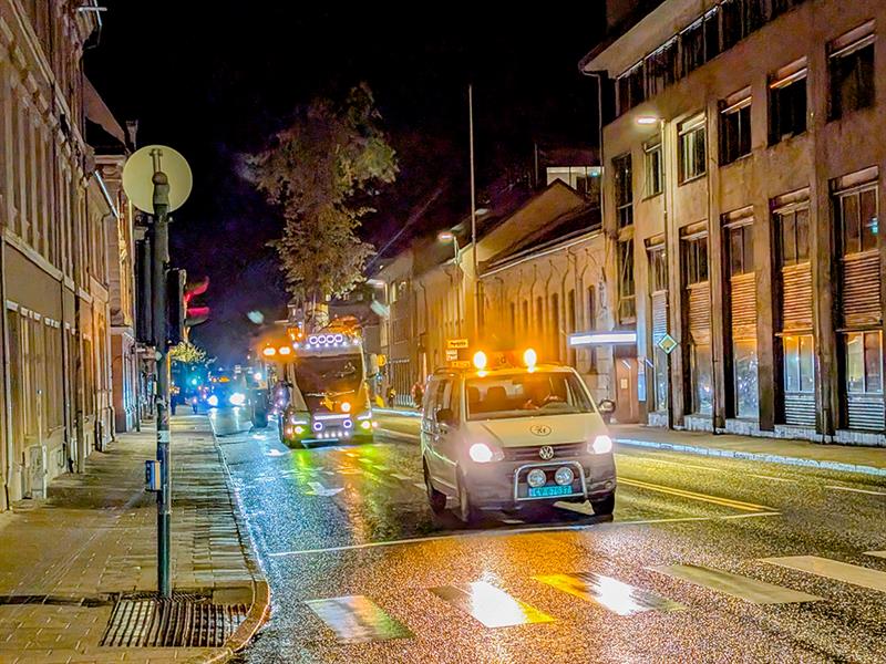 Lindetre gjennom Trondheim sentrum. Bilde