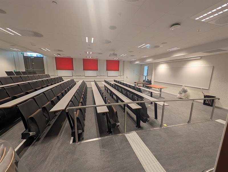 Trondheim katedralskole. Bilde