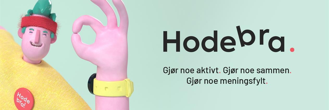 Bilde fra Hodebra-kampanjen
