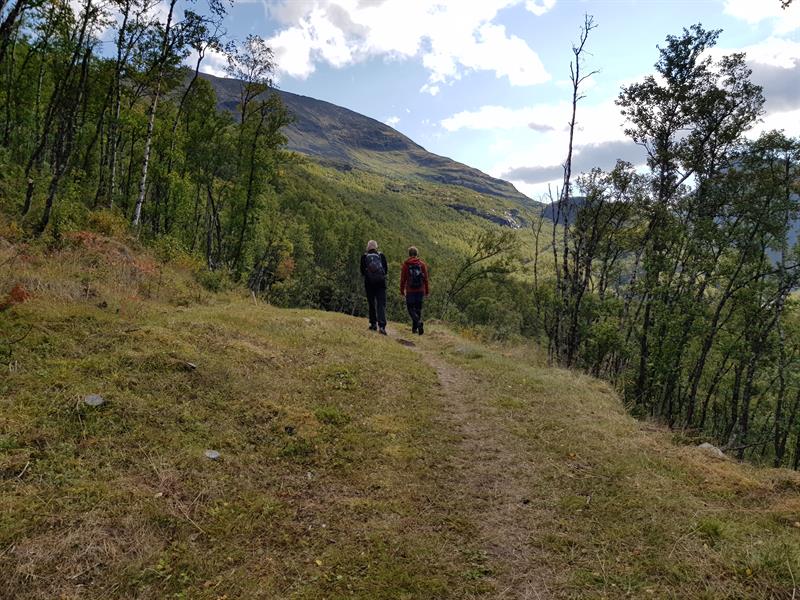 Vårstigen i Oppdal kommune. Foto Kristin Prestvold/TRFK Fra overgrodd sti til 4 meter bred vegbane. Vårstigen i Oppdal kommune, del av den Trondhjemske kongeveg over Dovrefjell. Foto Kristin Prestvold/TRFK
