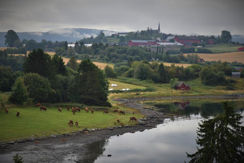 Innerst i Borgenfjorden med utsikt til Mære kirke. Foto: Hilde Yri/TRFK