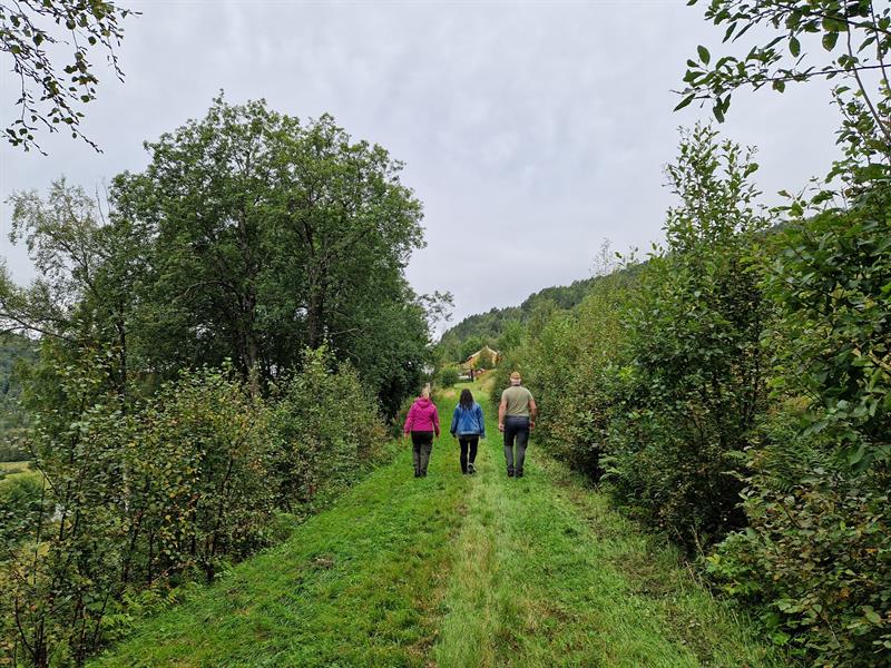 På tur langs Den trondhjemske postvei ved gården Garberg i Orkland kommune. Foto Kristin Prestvold/TRFK