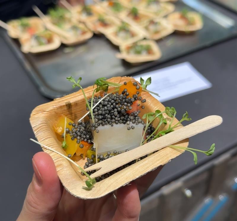 Kveite fra Rørvik fisk – servert med lokal tomat med hylleblomst, blåskjellmajones og blekksprut-sprøtt.