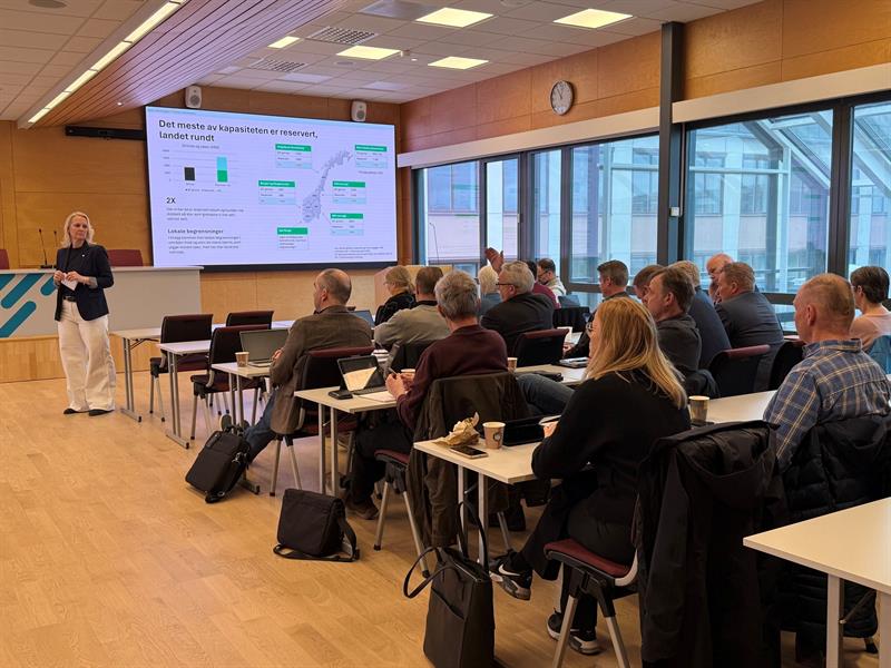 Ingvill Dalseg står foran en gruppe på rundt 20 mennesker som sitter.