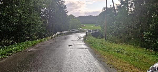Fylkesvei 6568 Skogsveien. Bilde