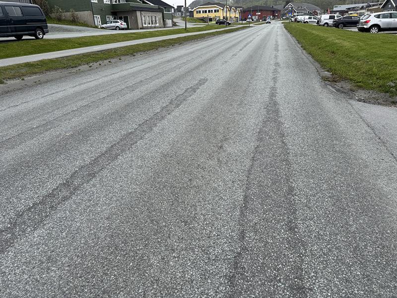 Bilde. Strandveien i Botngård
