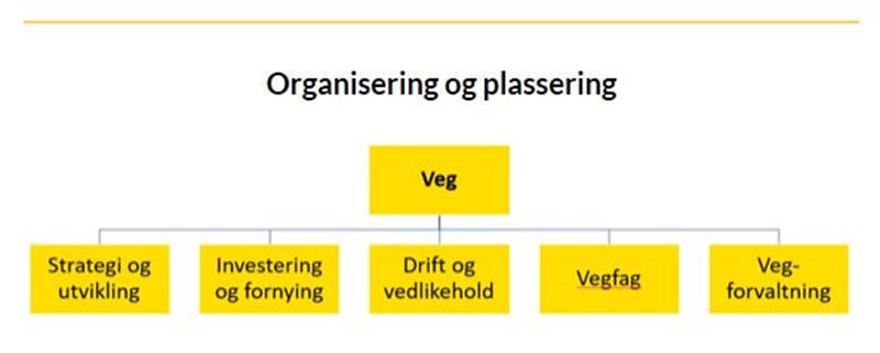 Avdeling_veg.JPG