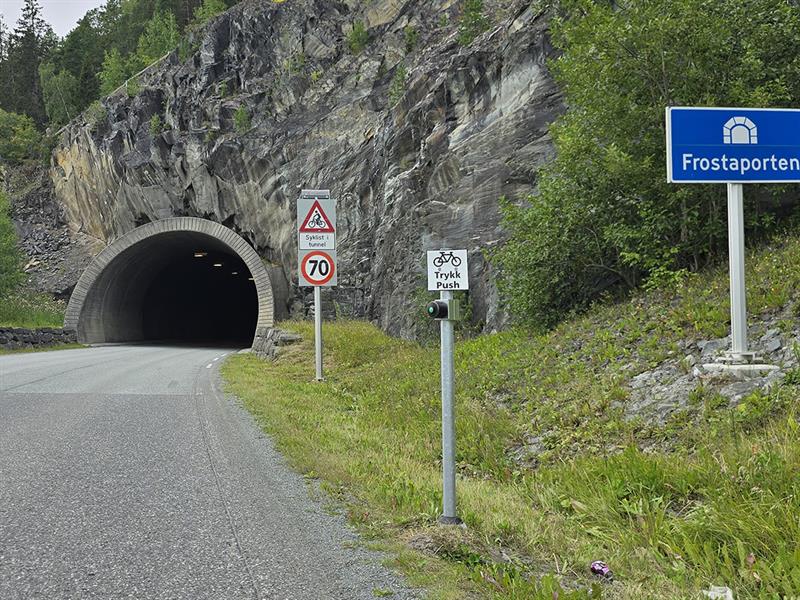Tunneln Frostaporten. Bilde