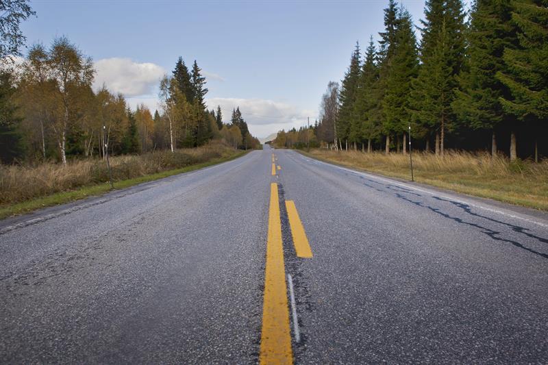 Bildet viser en asfaltert fylkesveg med en gulstripe og skog i veiskulderen. Foto: Inga Frøseth Rossing