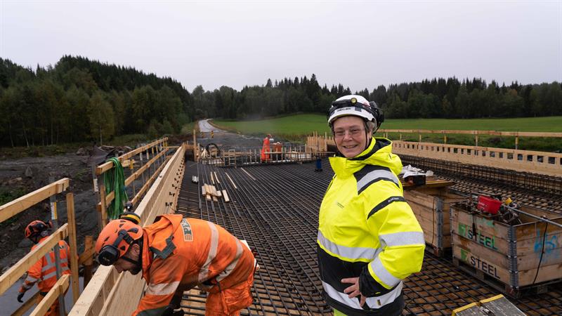 Lauva bru under bygging. Bilde