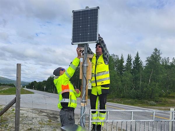 Montering av sensor. Bilde