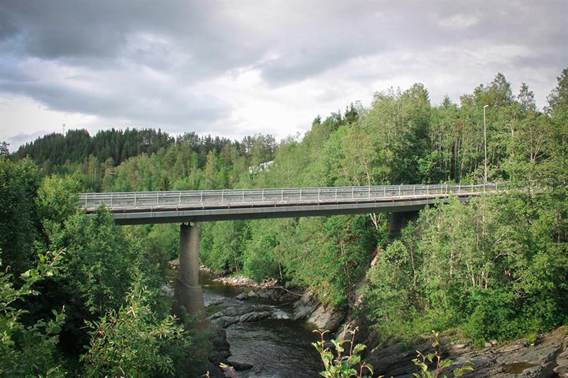 Ridnbrua. Bilde