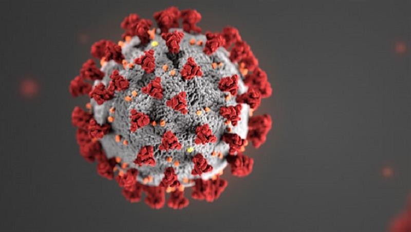 Illustrasjon koronavirus (Illustrasjon: CDC graphic)